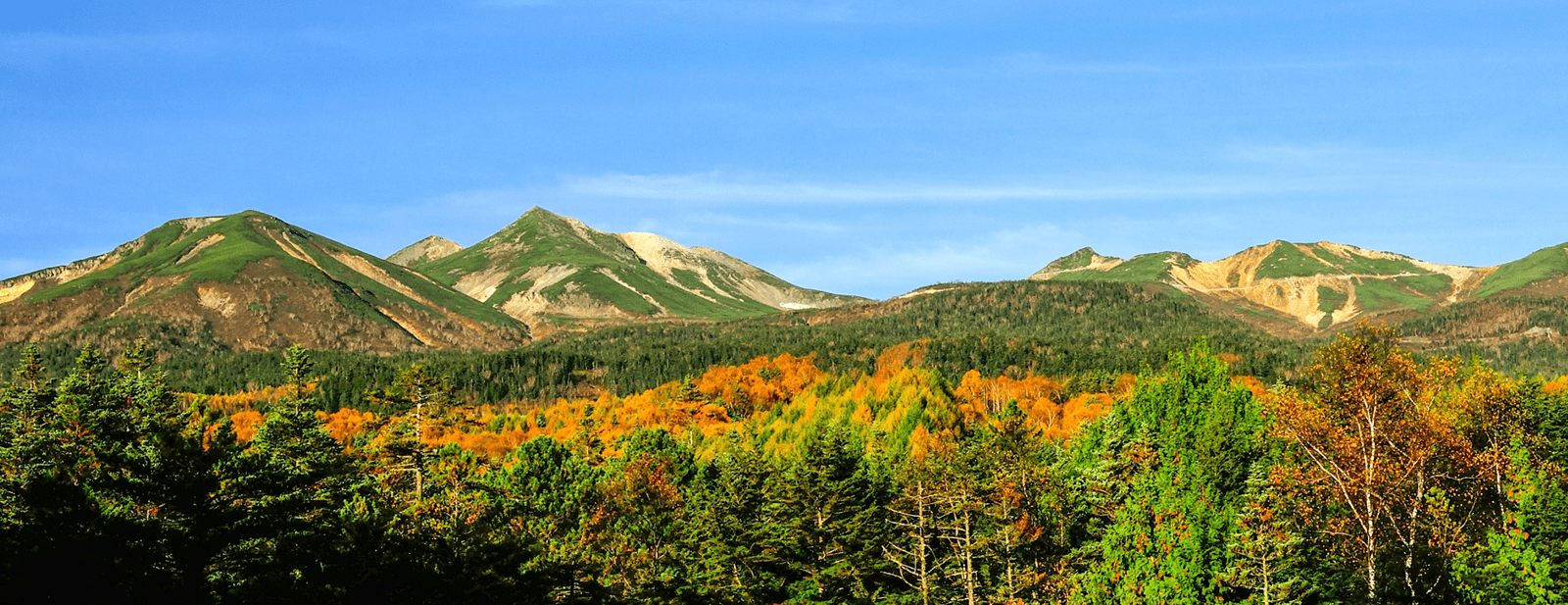 プライバシーポリシー